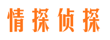 兰考市调查公司